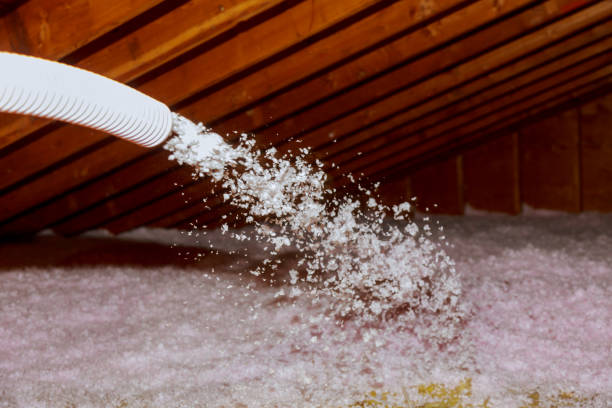 Best Residential Insulation in Scissors, TX