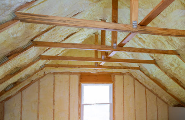 Best Spray Foam Insulation in Scissors, TX