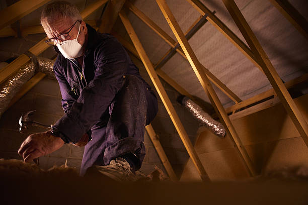 Best Blown-in Insulation in Scissors, TX